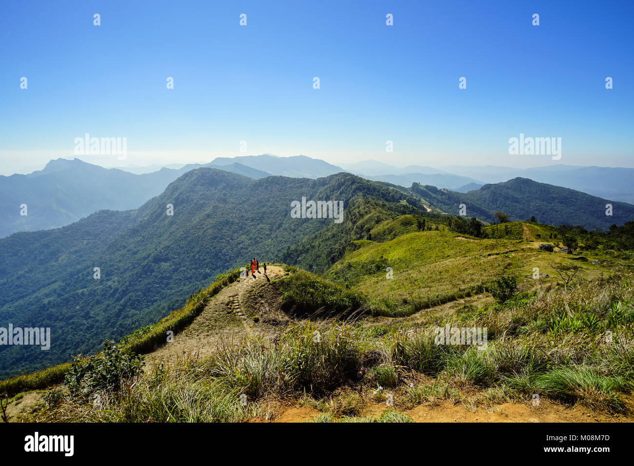 Montaña, bosque y cielo azul en Phu Chee Fa, Chiang Rai, Tailandia Foto de stock