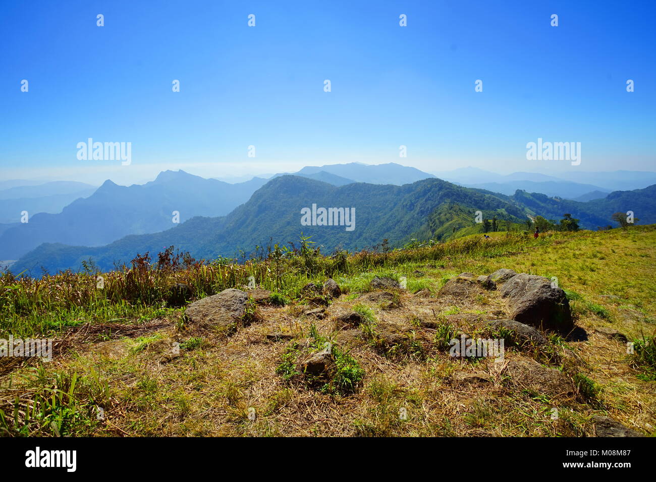 Montaña, bosque y cielo azul en Phu Chee Fa, Chiang Rai, Tailandia Foto de stock