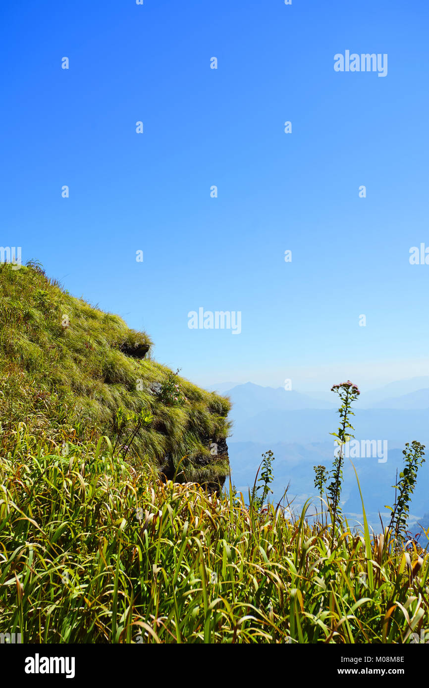 Montaña, bosque y cielo azul en Phu Chee Fa, Chiang Rai, Tailandia Foto de stock