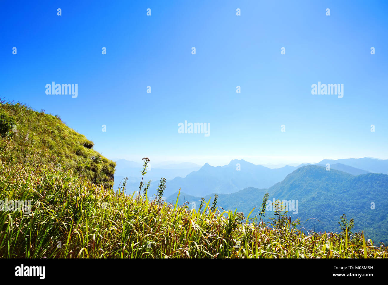 Montaña, bosque y cielo azul en Phu Chee Fa, Chiang Rai, Tailandia Foto de stock