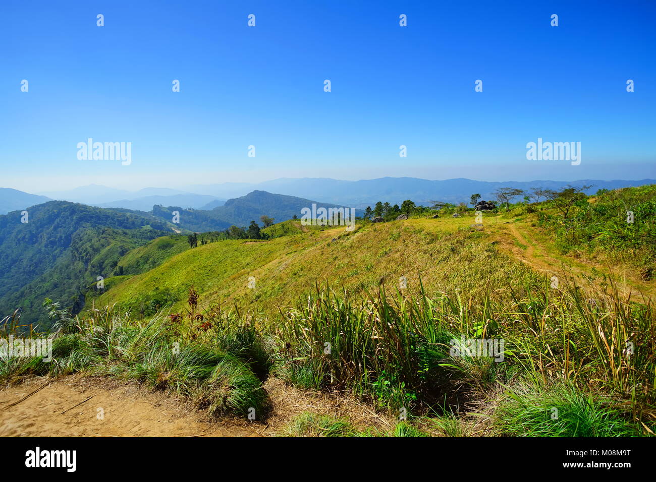 Montaña, bosque y cielo azul en Phu Chee Fa, Chiang Rai, Tailandia Foto de stock