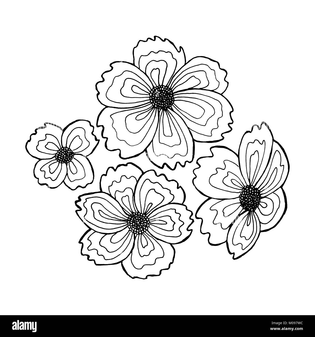 Conjunto de flores dibujadas a mano, la técnica del dibujo de línea,  adecuado para colorear Fotografía de stock - Alamy