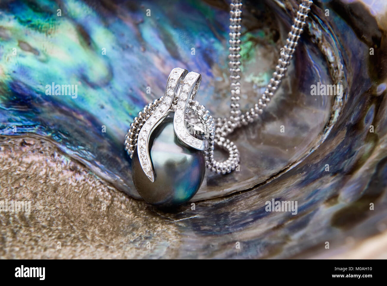 Colgante de oro blanco con perla Tahitiana y diamantes en Rainbow ostra  perlera de labio (Pteria sterna Fotografía de stock - Alamy