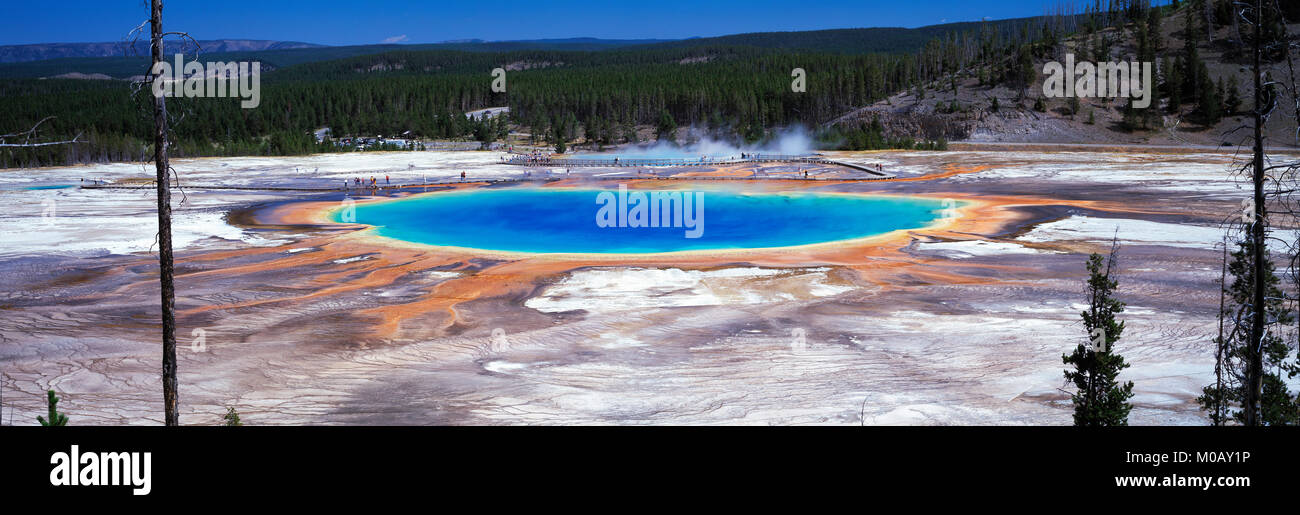 El Grand Prismatic Piscina Parque Nacional Yellowstone en Wyoming USA Foto de stock