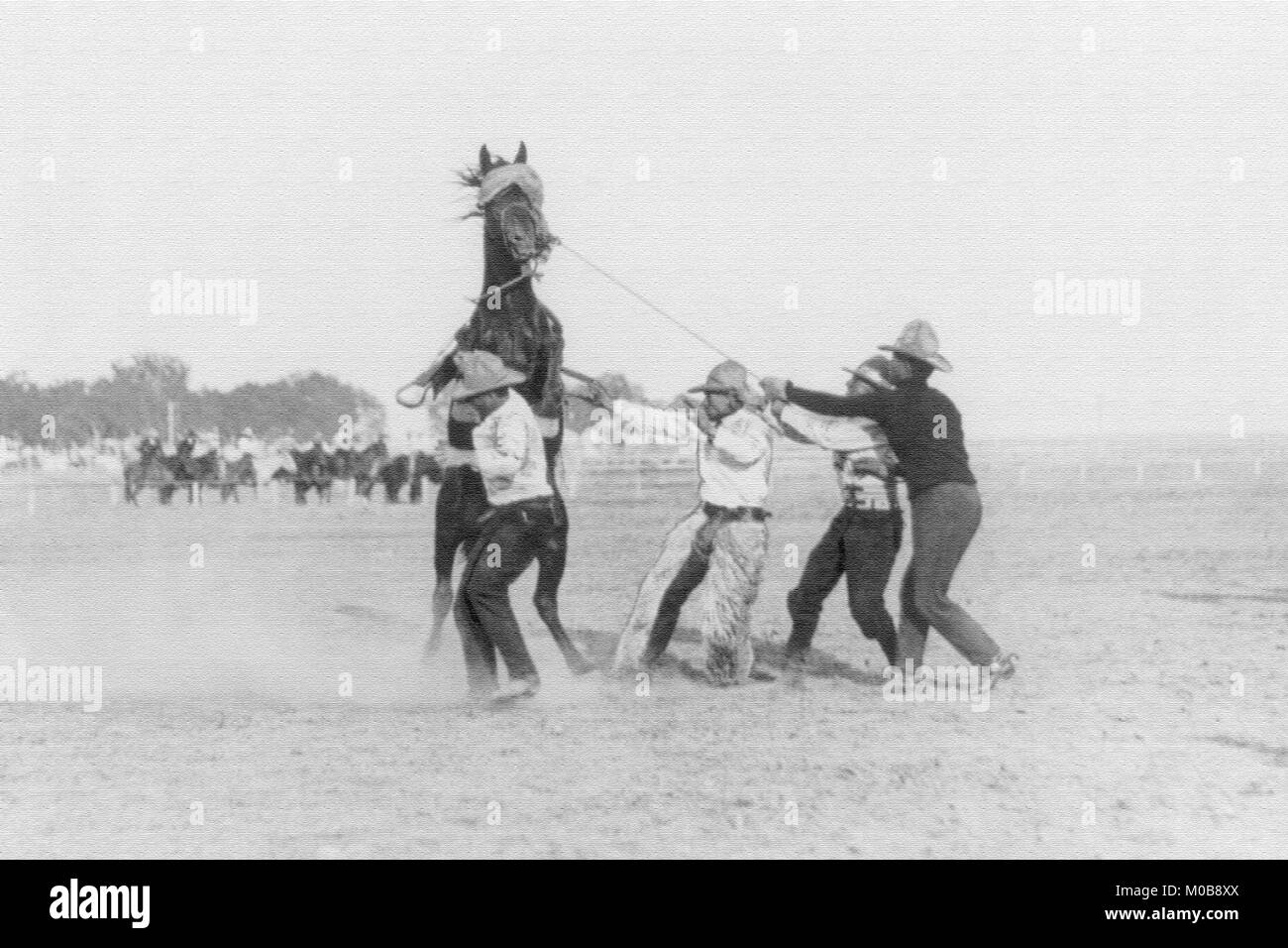 Carnicero insubordinados Bob,Cheyenne Frontier Days Foto de stock