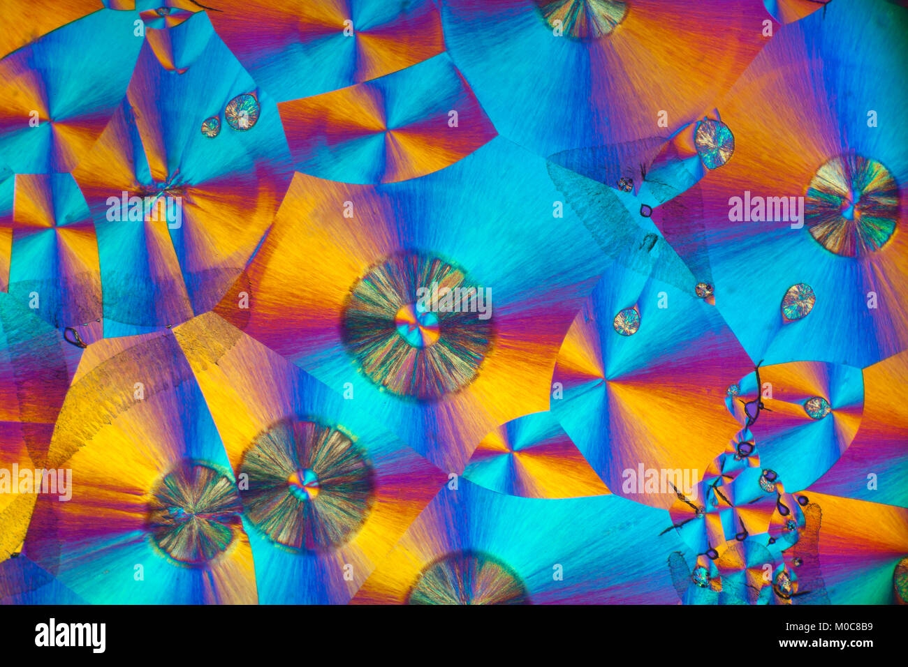 Ácido benzoico, Cruz microfotografía polarizada, fusión química crystalised diapositivas. Foto de stock