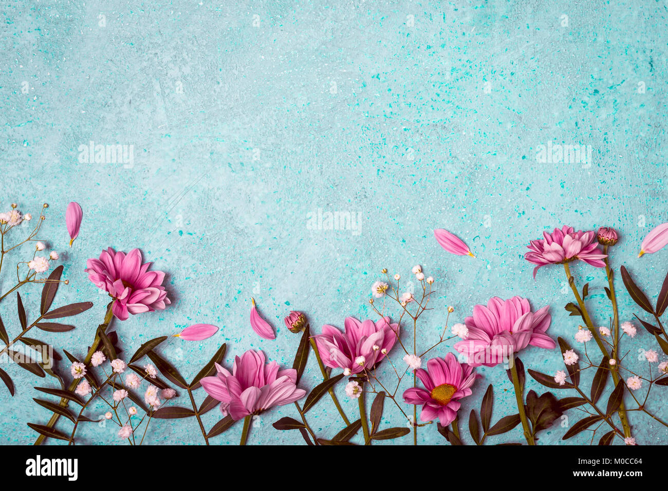 Primavera Verano Naturaleza Creativa De Fondo Flores De Color Rosa Sobre Fondo Azul Vintage De La Frontera Fotografia De Stock Alamy Azul flores de color purpura papel tapiz de fondo floral de la vendimia. https www alamy es foto primavera verano naturaleza creativa de fondo flores de color rosa sobre fondo azul vintage de la frontera 172376684 html