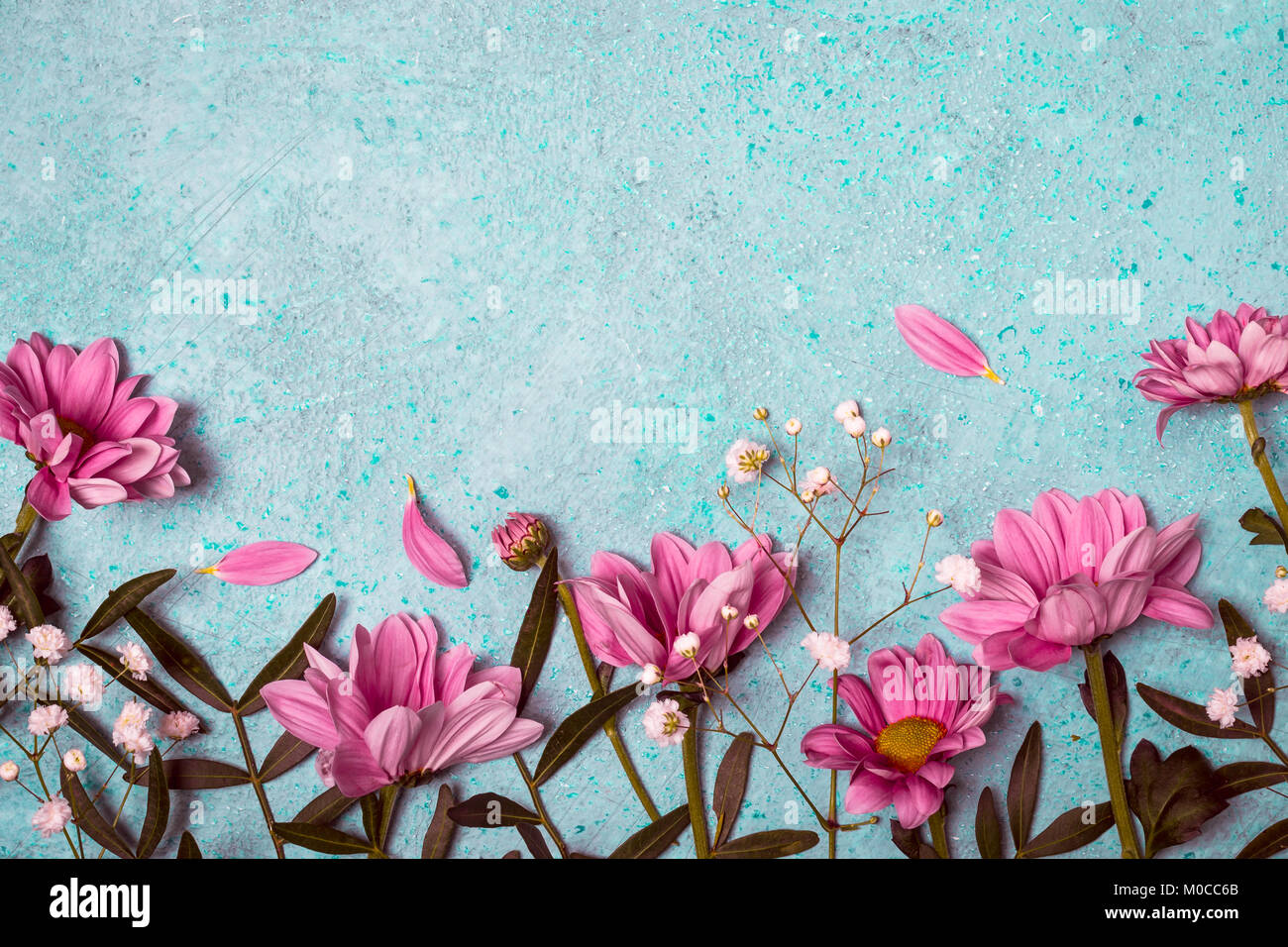 Primavera Verano Naturaleza Creativa De Fondo Flores De Color Rosa Sobre Fondo Azul Vintage De La Frontera Fotografia De Stock Alamy Fondos de pantalla de animales, dibujos, videojuegos, flores, paisajes y peliculas. https www alamy es foto primavera verano naturaleza creativa de fondo flores de color rosa sobre fondo azul vintage de la frontera 172376691 html