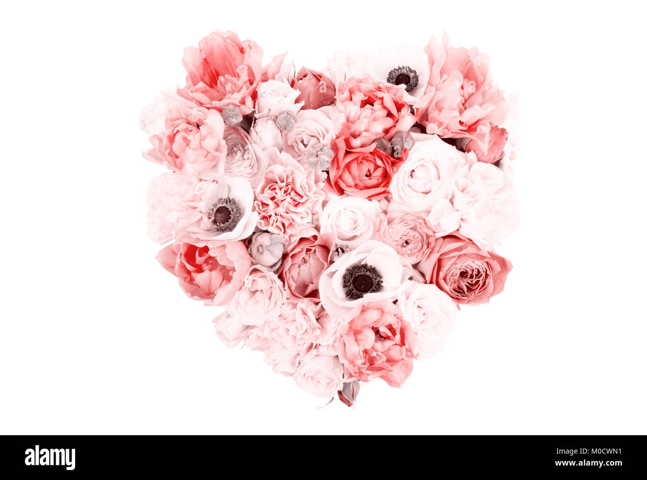 Bouquet de flores en forma de corazón aislado sobre fondo blanco. Foto de stock