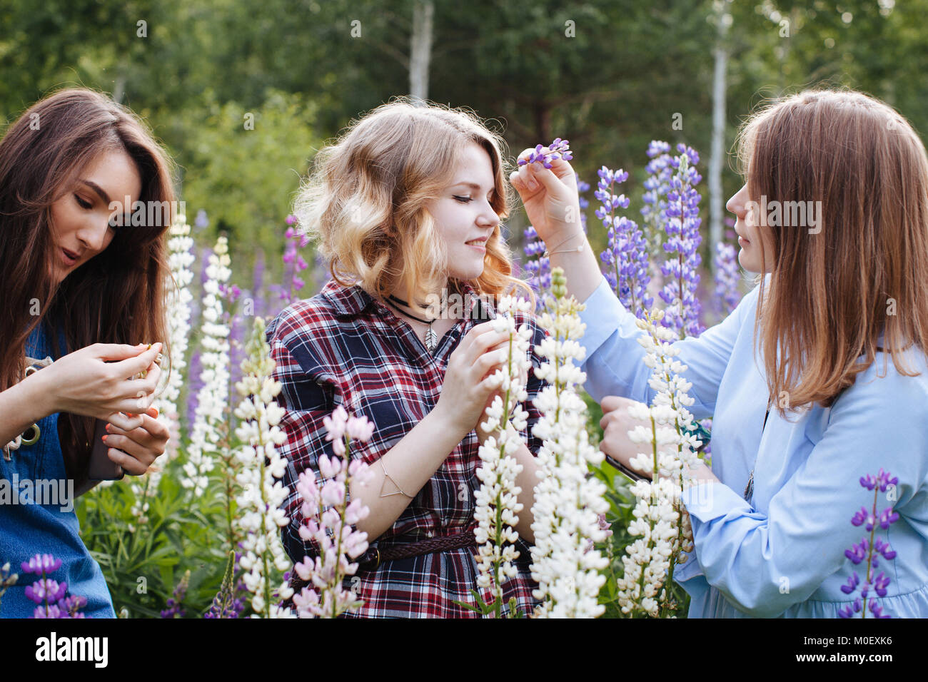 Tres mujeres sentadas en un prado la recolección de flores Foto de stock