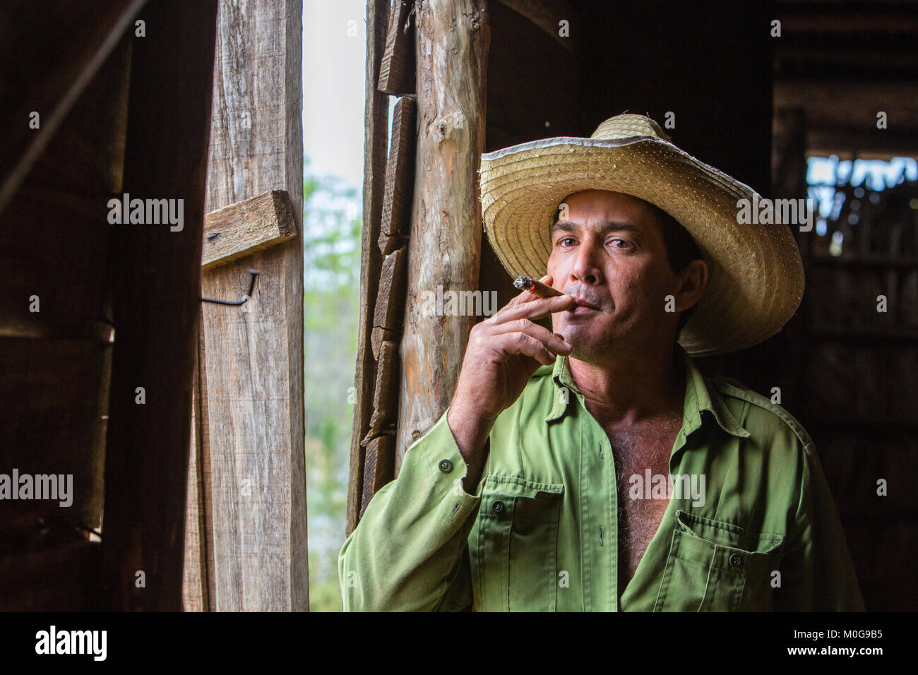 Productores de Tabaco en el Valle de Viñales, Cuba Foto de stock