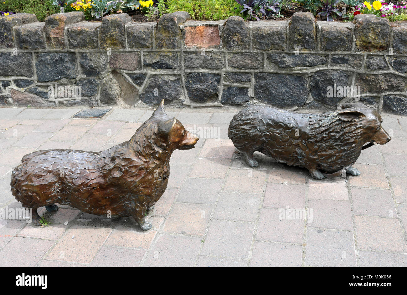 Corgi bronce esculturas en High Street, Christchurch, Nueva Zelanda por el escultor David Marshall. Foto de stock