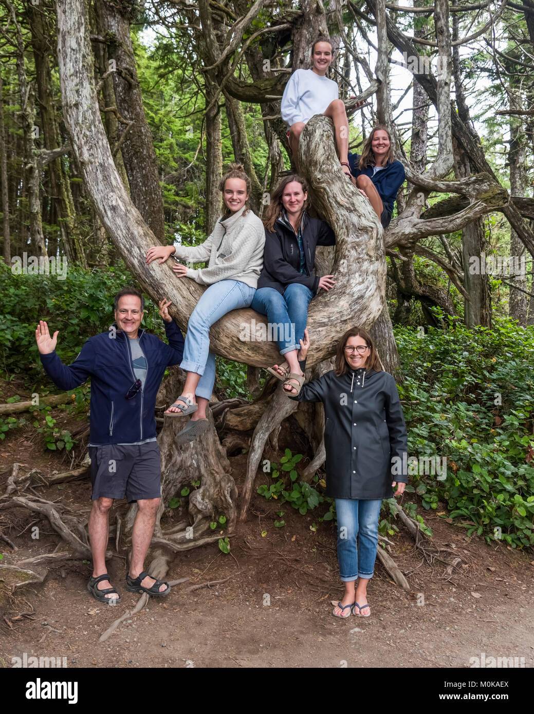 Un retrato de familia con cuatro hijas en un árbol en la isla de Vancouver; Ucluelet, British Columbia, Canadá Foto de stock