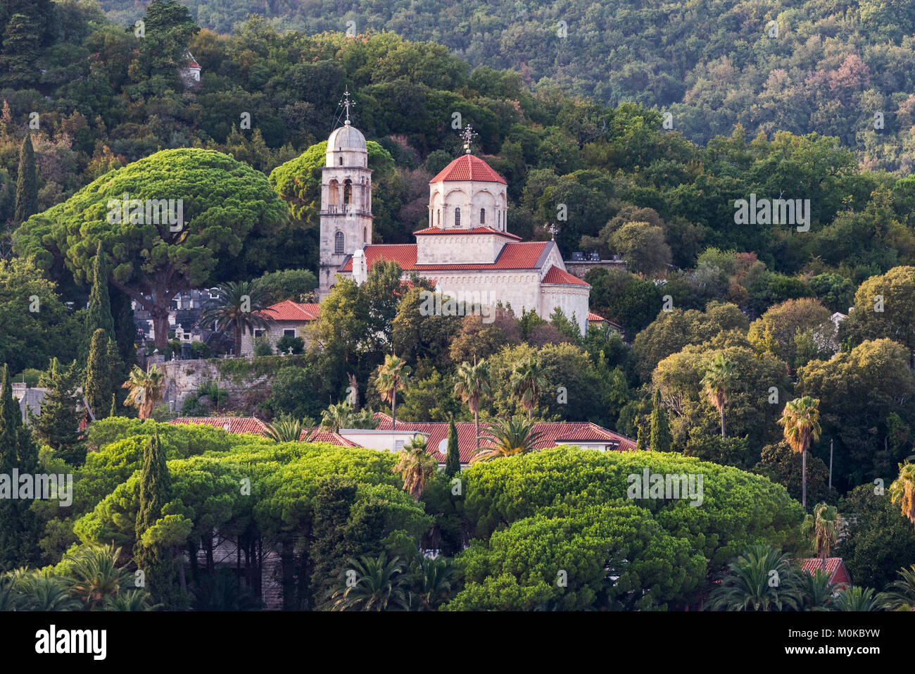 Una iglesia y edificios en la ladera de una colina rodeada de árboles; Herceg Novi, Montenegro Foto de stock