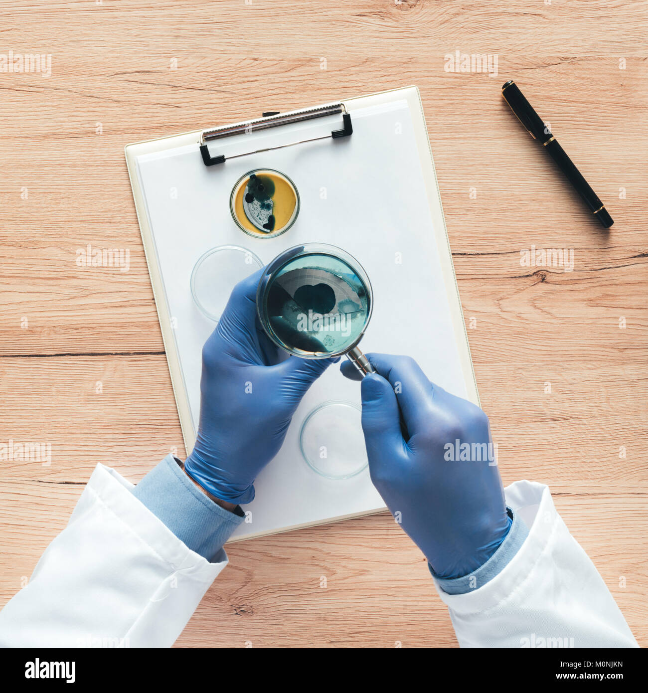 Vista aérea de técnico de laboratorio de análisis de crecimiento de cultivos bacterianos en placa de Petri, ciencia y antecedentes de microbiología Foto de stock