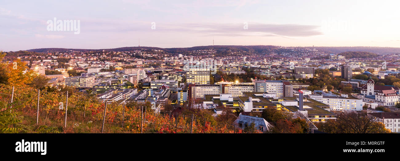 Deutschland, Baden-Württemberg, Stuttgart, Stadtansicht, Stadtzentrum, Innenstadt, Weinberg, Horizonte, Panorama Foto de stock