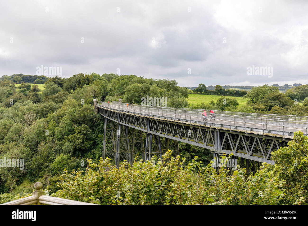 Meldon Viaducto de hierro. Una vez viaducto ferroviario , ahora el granito de la pista para bicicletas. Uno de los dos únicos de su tipo construido en el Reino Unido. Foto de stock