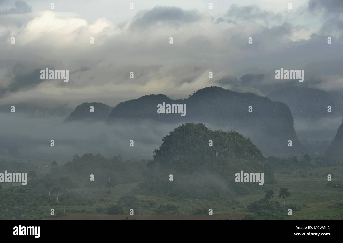 Vistas al valle de Viñales en Cuba. Crepúsculo matutino y niebla.La niebla en el amanecer en el Valle de Viñales, en Pinar del Río, famosa por las plantaciones de tabaco Foto de stock