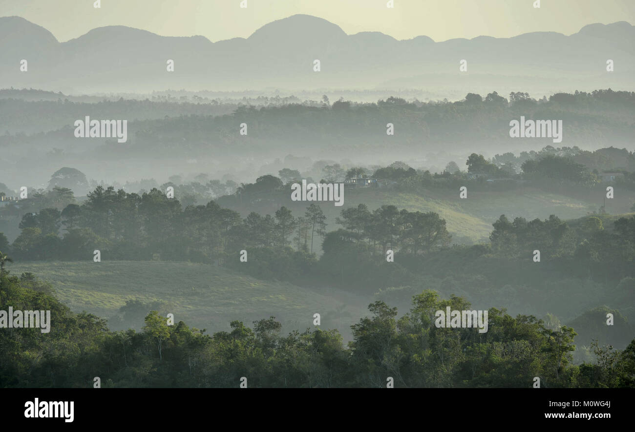 Vistas al valle de Viñales en Cuba. Crepúsculo matutino y niebla.La niebla en el amanecer en el Valle de Viñales, en Pinar del Río, famosa por las plantaciones de tabaco Foto de stock