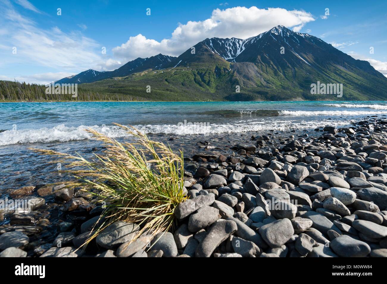 Canadá, Territorio de Yukon,Kluane Parque y Reserva Nacional,Kathleen Lake Foto de stock