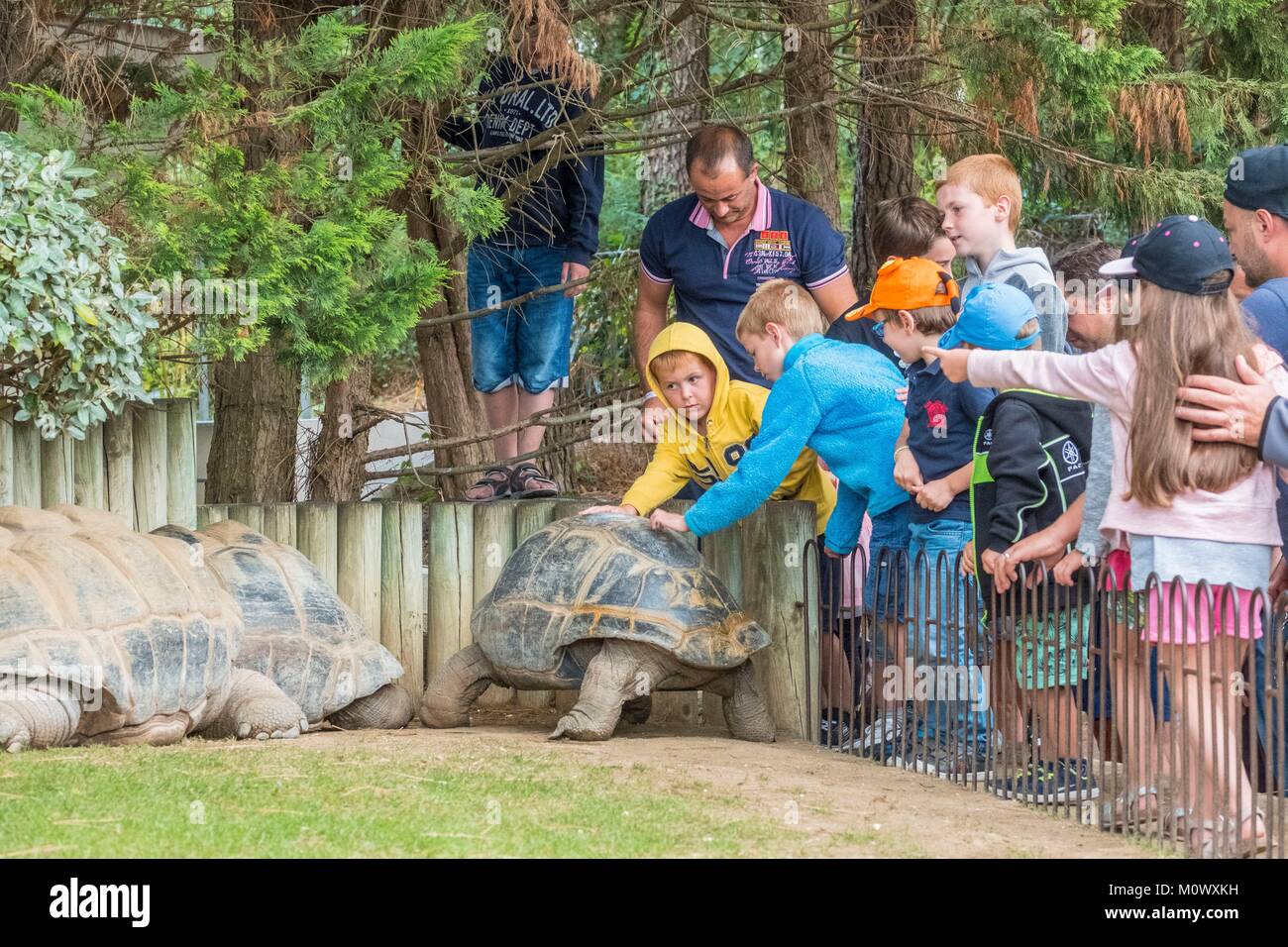 Francia, La Palmyre Charente Maritime, zoológico, los niños con tortugas gigantes de las Seychelles Foto de stock