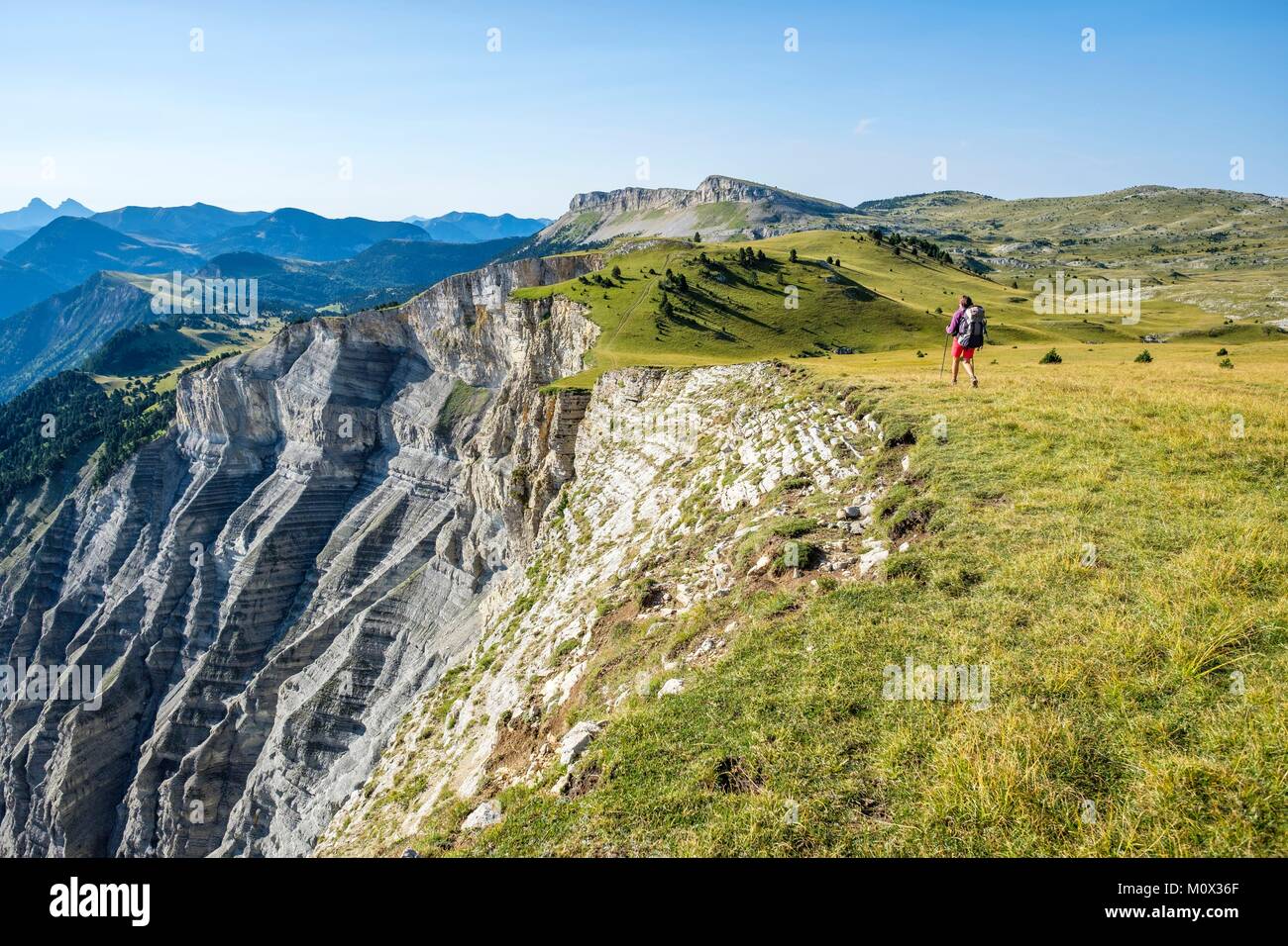 Francia,Isere,Parque Natural Regional de Vercors,Reserva Natural Nacional de las montañas de Vercors,senderismo a lo largo de Ravin des arcos,Montículo (alt : 1972 m) en el fondo () Foto de stock