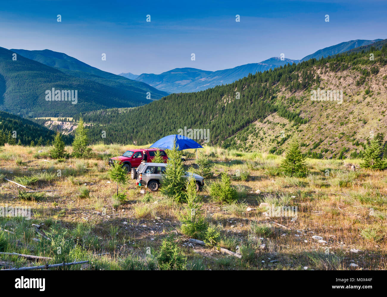 Camping a Brewer Creek Forest Service Road, Purcell Mountains, cerca de Invermere, British Columbia, Canadá Foto de stock