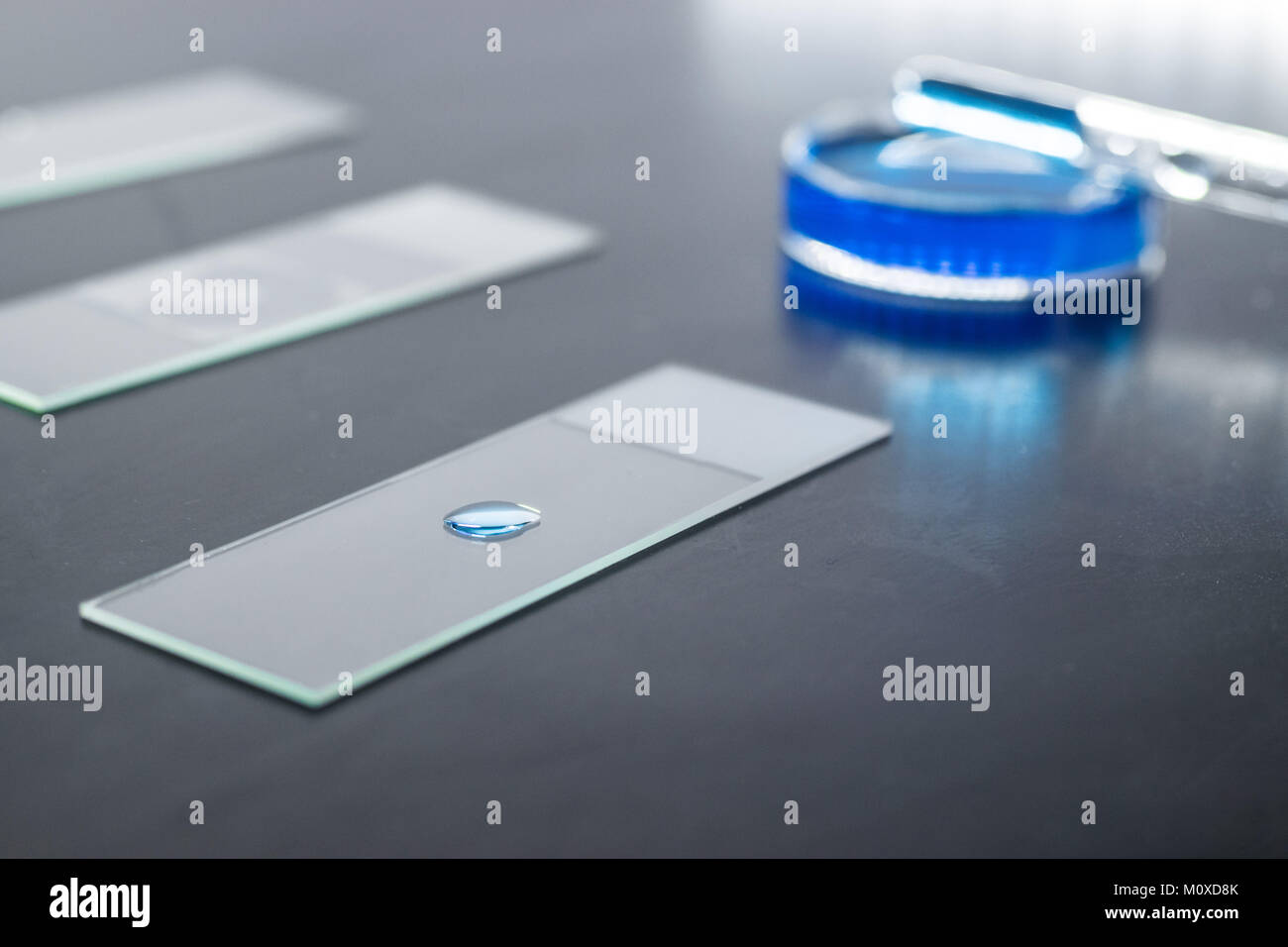 Microscopio portaobjetos de vidrio con una pequeña gota de sustancia liqudi azul, placa de Petri y pipeta gotero en el fondo Foto de stock