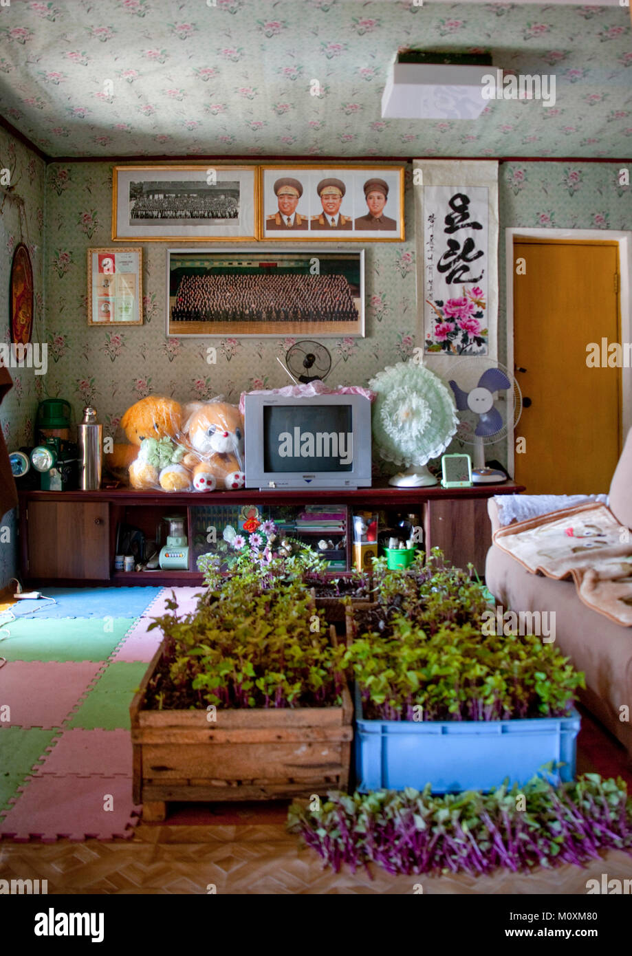 Salón de Corea del Norte en una casa de familia, en el norte de la  provincia de Hamgyong, Jung RI Pyong, Corea del Norte Fotografía de stock -  Alamy