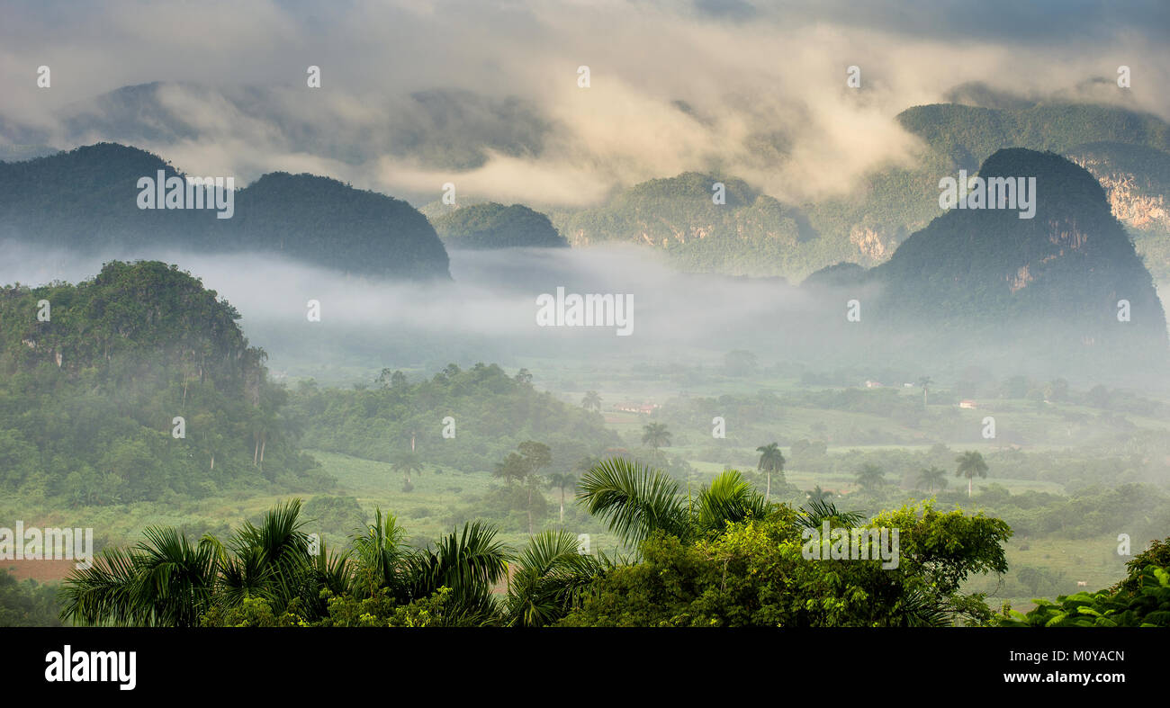 Apacible vista del valle de Viñales al amanecer. Vista aérea del Valle de Viñales en Cuba. Crepúsculo matutino y niebla. La niebla en el amanecer en el Valle de Viñales Foto de stock