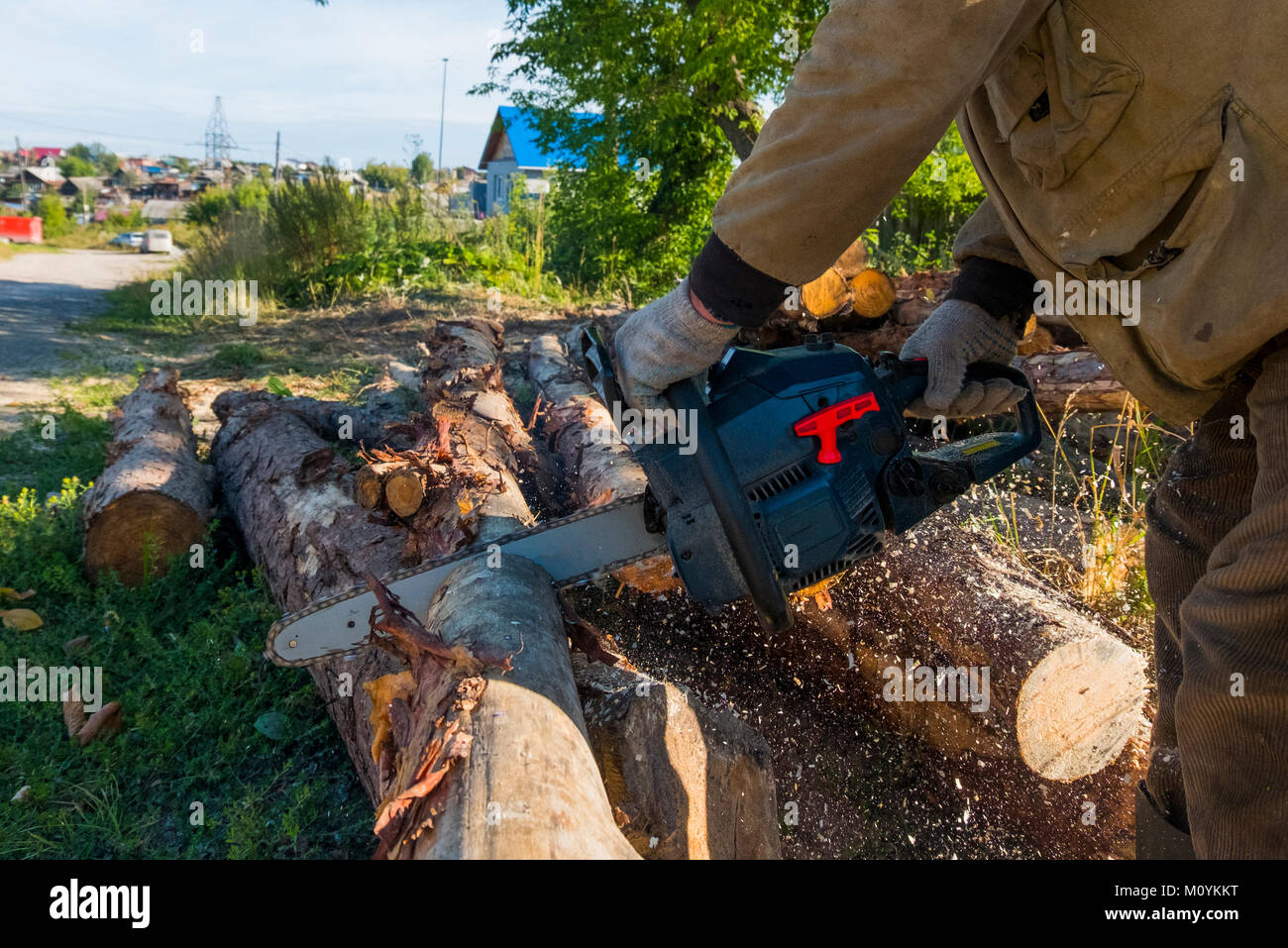 Hombre caucásico Cortando troncos con motosierra Foto de stock