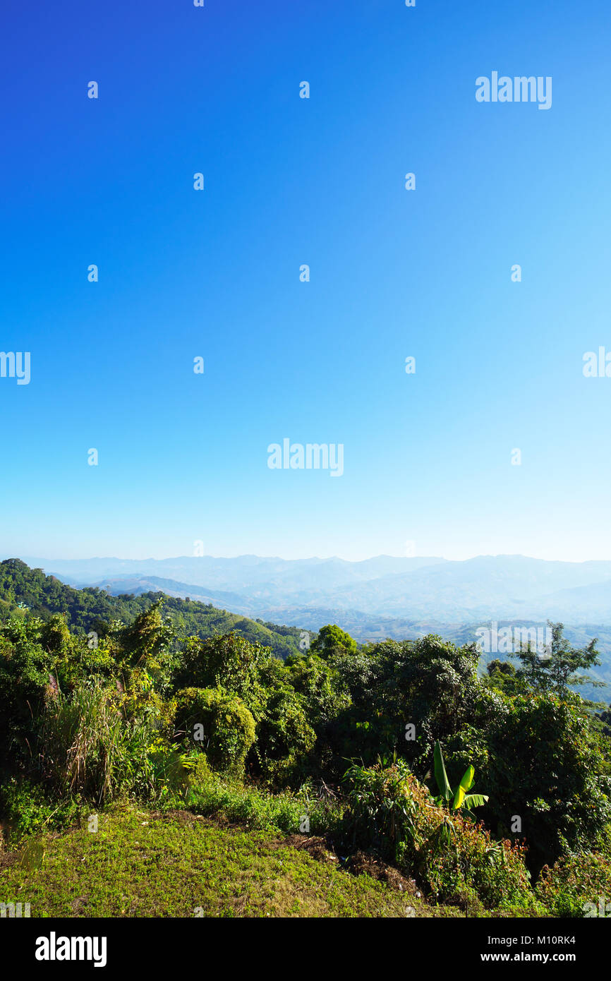 Vista la naturaleza de montaña, bosque y cielo azul en Doi Mae Salong, Chiang Rai, Tailandia Foto de stock