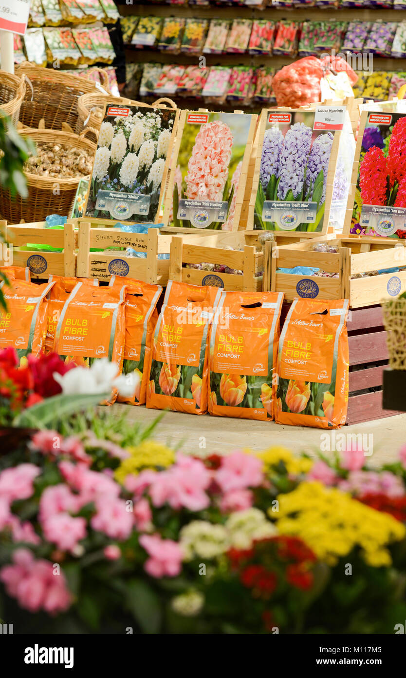 Paquetes de bulbos de flores en venta en un centro de jardinería, REINO  UNIDO Fotografía de stock - Alamy