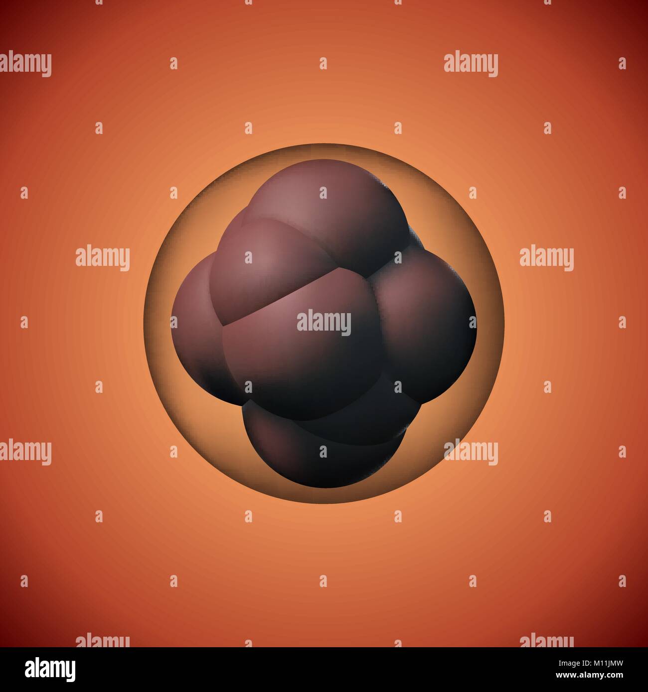 Cigoto de fotografías e imágenes de alta resolución Alamy