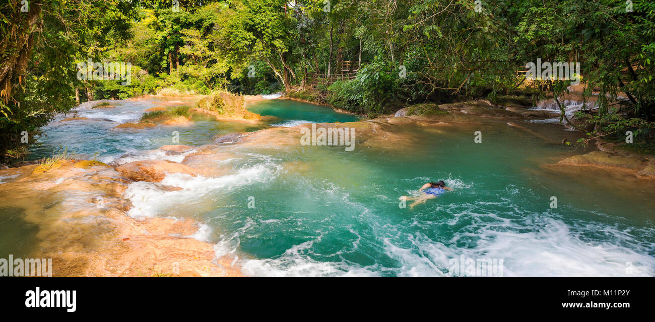 Mujer nadar en piscinas naturales de Agua Azul, cerca de Palenque en  Chiapas, México Fotografía de stock - Alamy