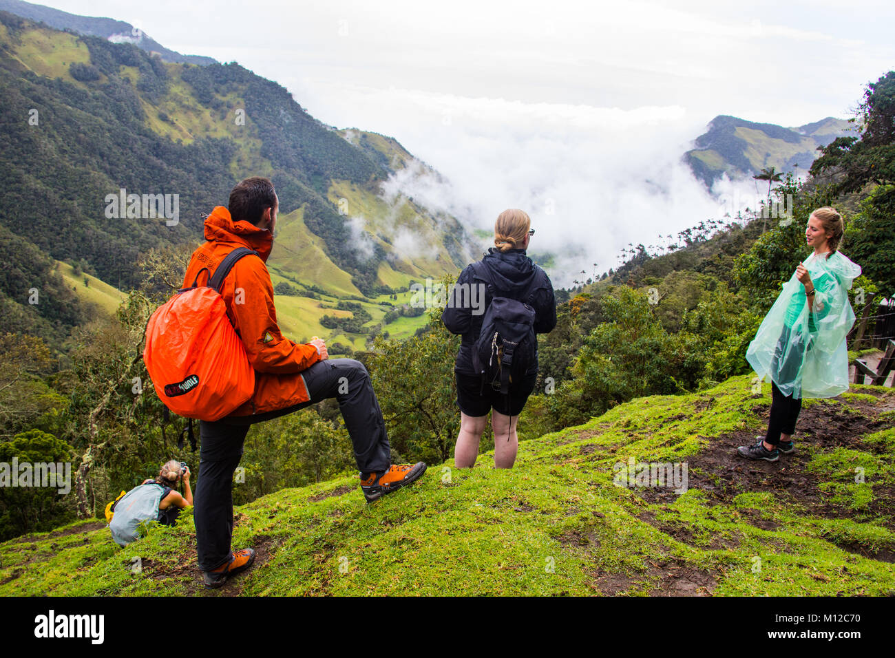 Valle de Cocora, cerca de Salento, Colombia, Sur America Foto de stock