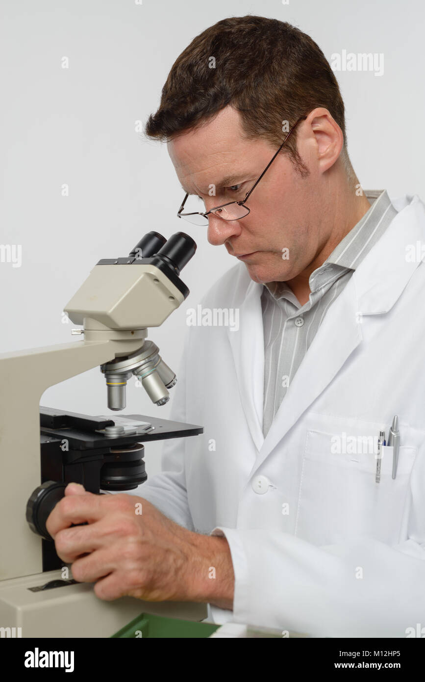 Mature científico o profesor asociado realiza la microscopía Foto de stock