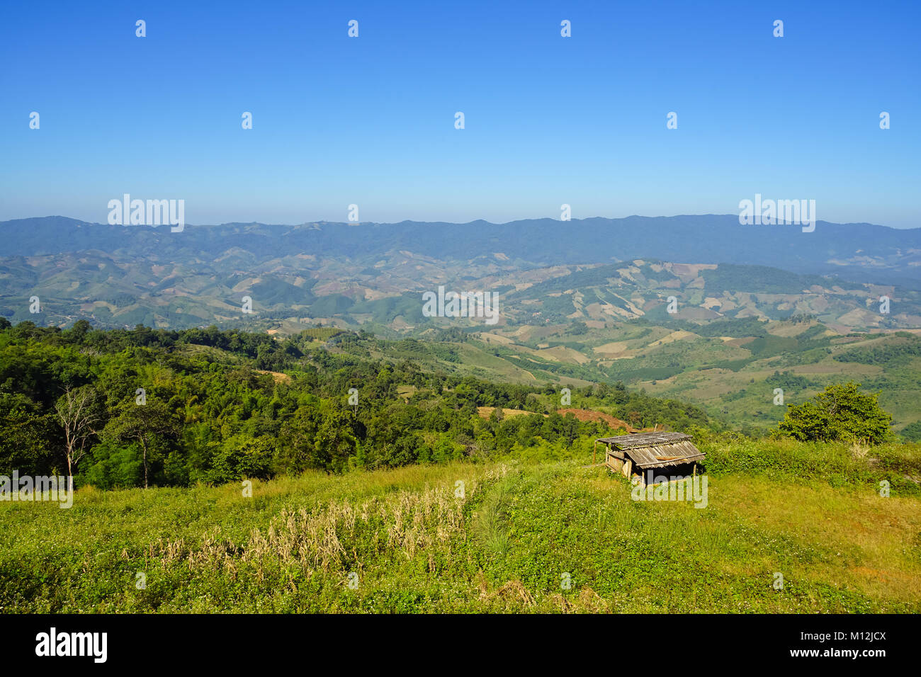 Pequeña choza en la montaña, Phu Chee Fa, provincia de Chiang Rai, Tailandia Foto de stock