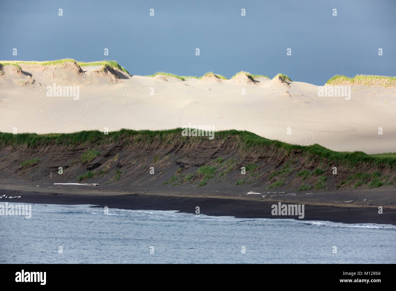 La luz del sol ilumina las dunas a lo largo de la costa de la isla de San Pablo, en el sudoeste de Alaska. Foto de stock