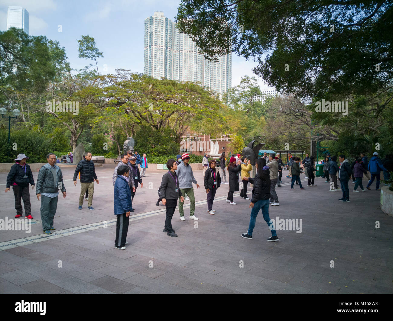 La gente que practica tai chi en el Parque Kowloon, Hong Kong Foto de stock