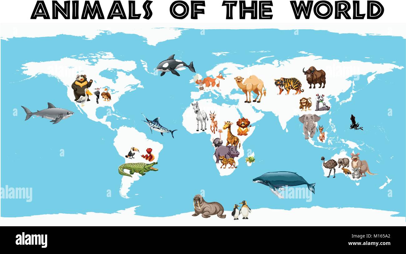 Los diferentes tipos de animales en todo el mundo en el mapa