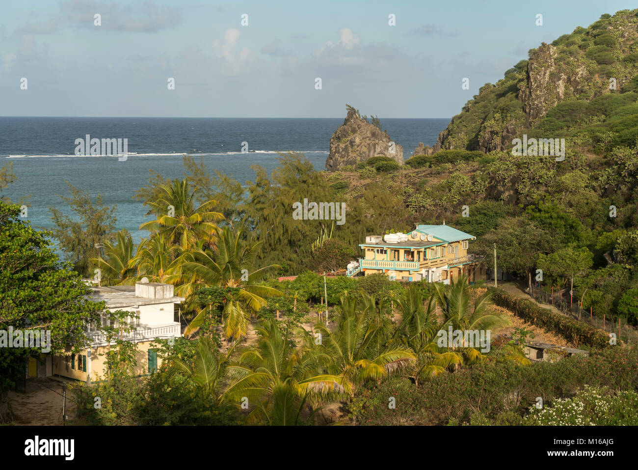 Costas cubiertas de palmeras y chumberas, Isla Rodrigues, Mauricio Foto de stock