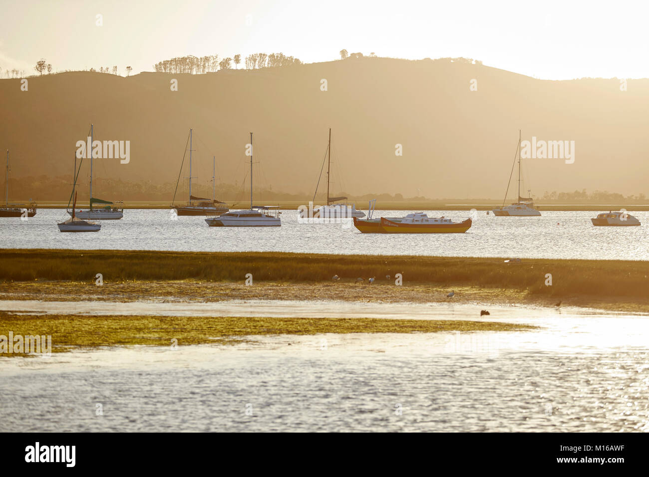 Ocio Sunset Island, Knysna, Garden Route, Western Cape, Sudáfrica Foto de stock