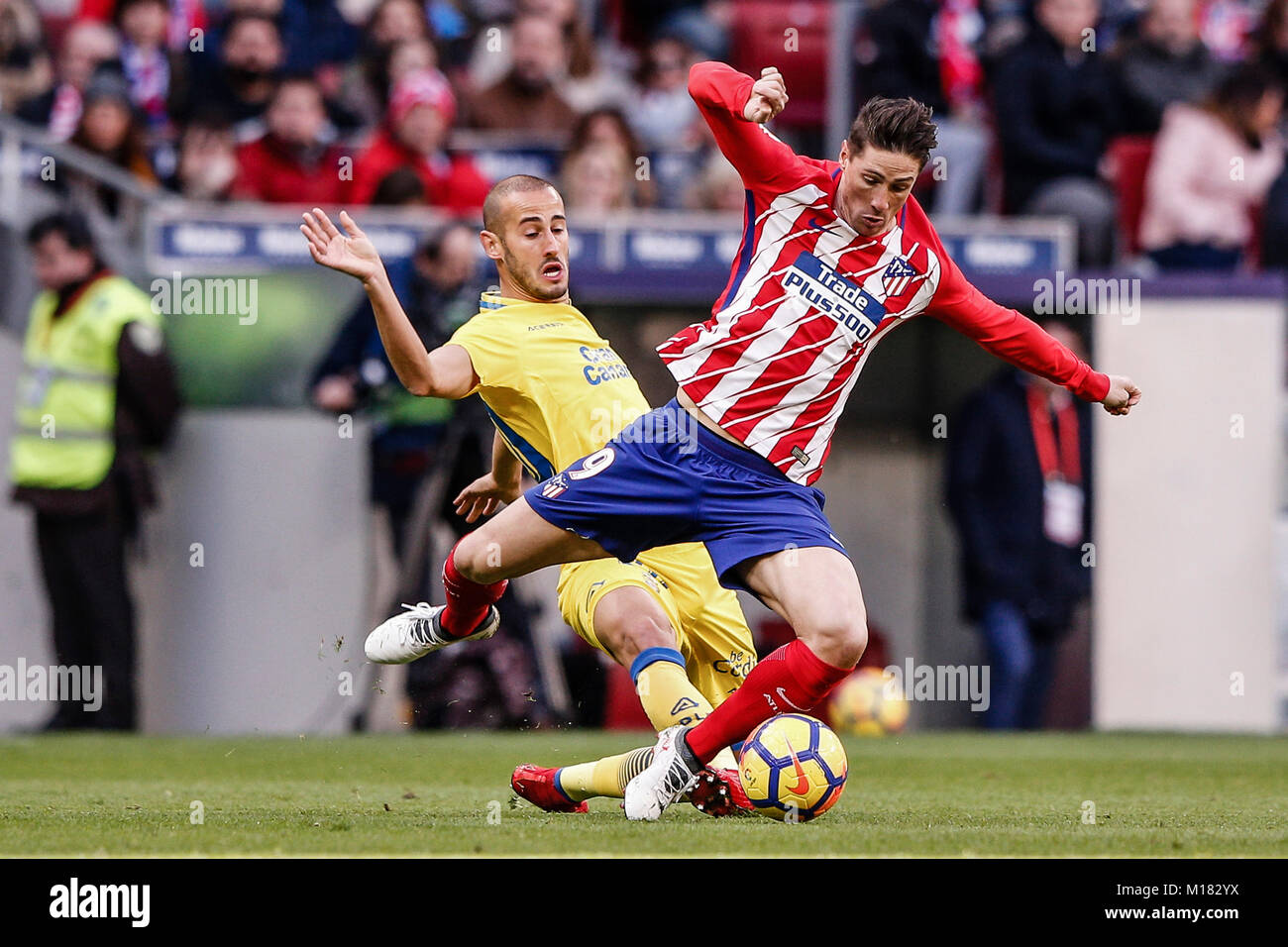 Fernando Torres (Atlético de Madrid) pelea por el control del balón con  Alejandro Gálvez (UD Las Palmas), la Liga partido entre el Atlético de  Madrid vs UD Las Palmas en el estadio