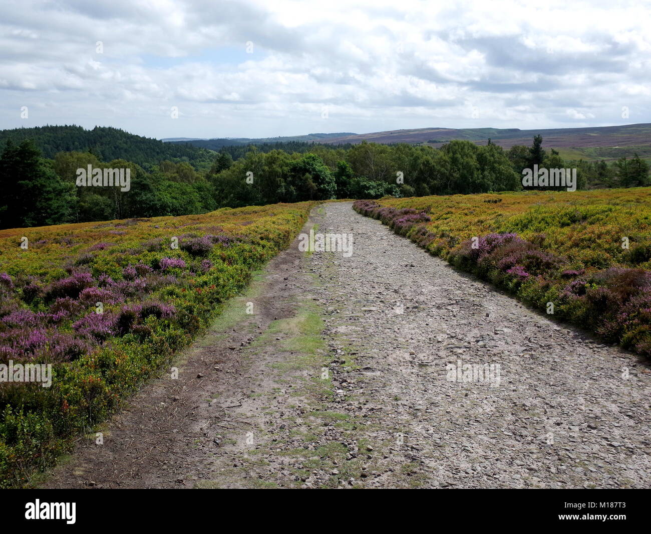 Senderismo en torno Langsett Reservoir en el Peak District National Park. El embalse suministra agua a Sheffield y Barnsley y es un destino popular Foto de stock