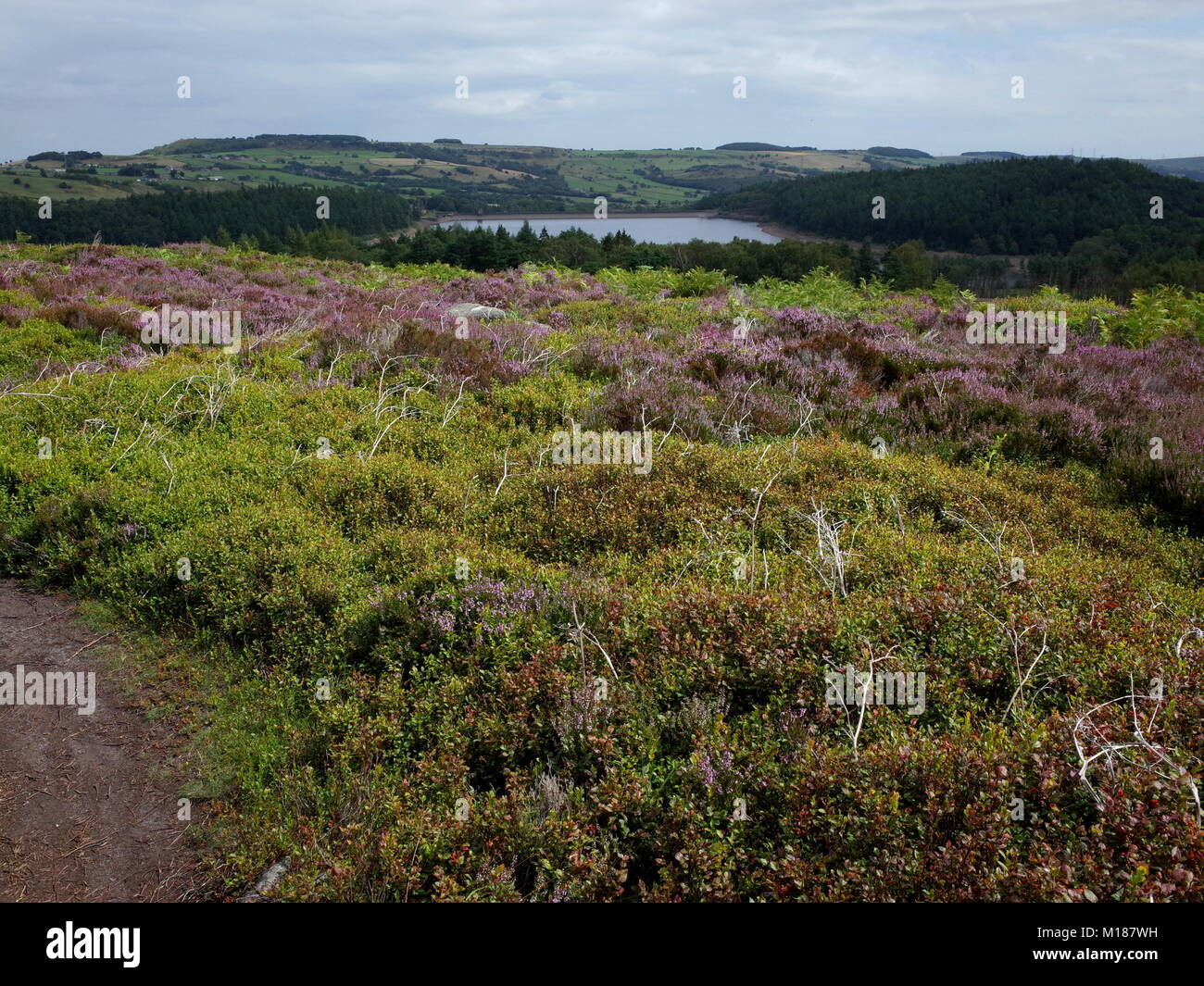 Senderismo en torno Langsett Reservoir en el Peak District National Park. El embalse suministra agua a Sheffield y Barnsley y es un destino popular Foto de stock