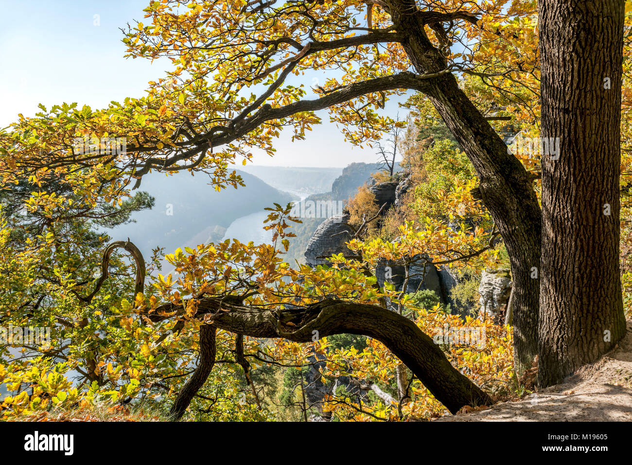 Vista panorámica desde la formación rocosa de Bastei en otoño, Saxon Swiss cerca de Dresden, Alemania Foto de stock
