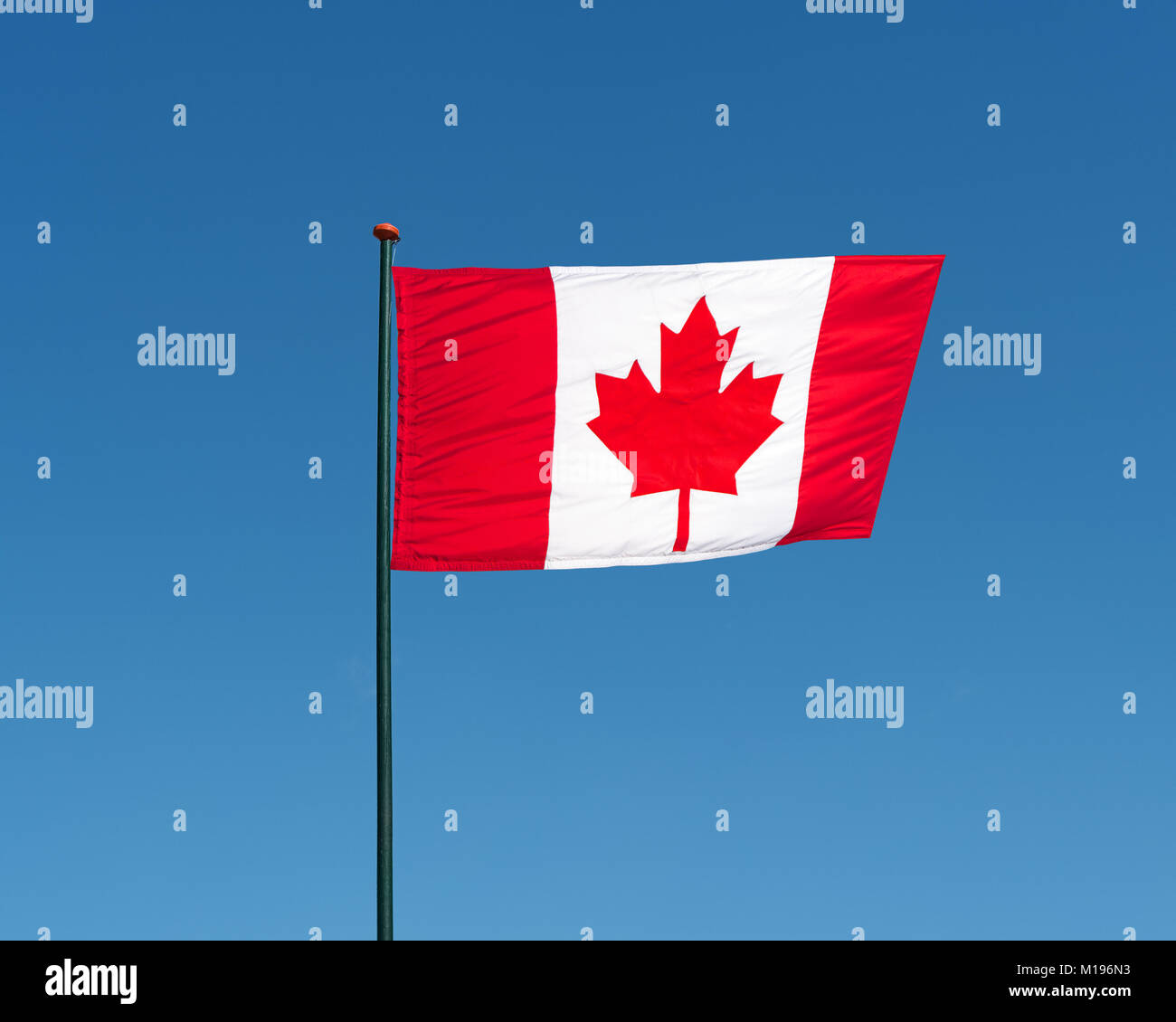 Bandera oficial nacional canadiense sobre fondo de cielo azul. Símbolo de Canadá. Bandera canadiense patriótica, diseño. Pabellón de Canadá sobre la bandera ondeando en el Foto de stock