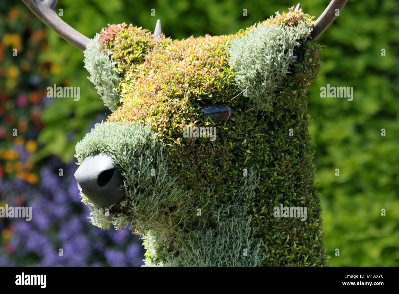 Topiary gigante creado por Canadá 150 celebraciones Fotografía de stock