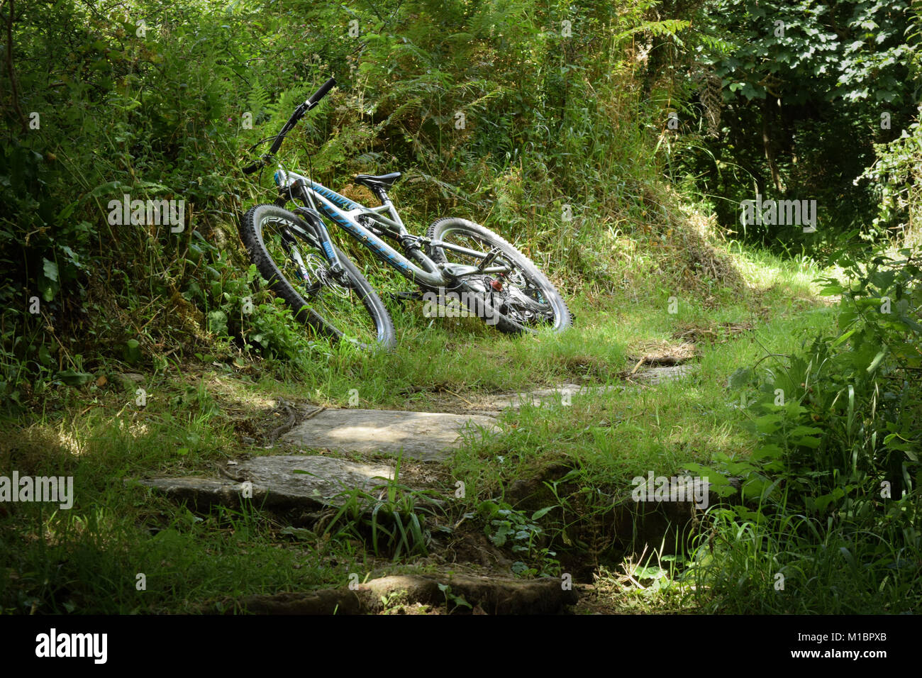 Specialized Enduro Mountain Bike Foto de stock